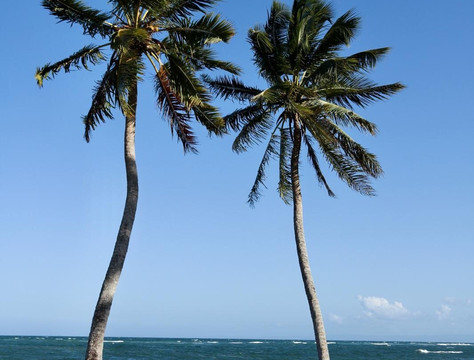 AligaTours-普拉塔港必去景点