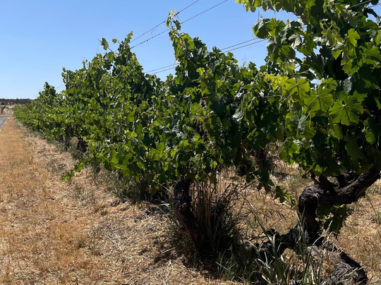 Henschke-Keyneton必去景点