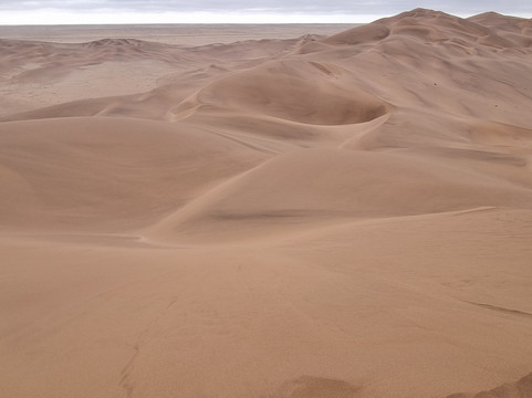 Dominus Dune Tours-Langstrand必去景点