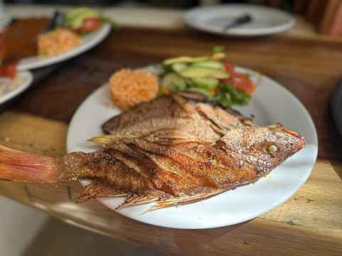 Restaurant Luna Nueva