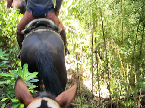 Rancho Carhuello-普孔必去景点