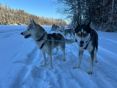 Arctic Expedition-埃斯波必去景点