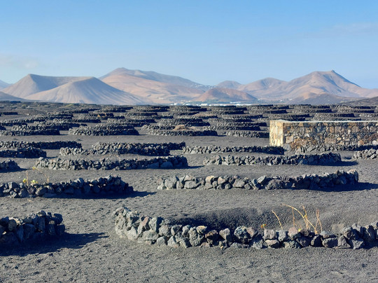 Bodegas Rubicon-Yaiza必去景点