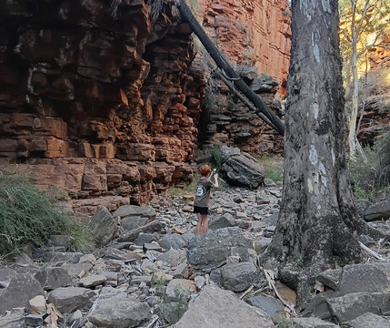 Alligator Gorge-Wilmington必去景点