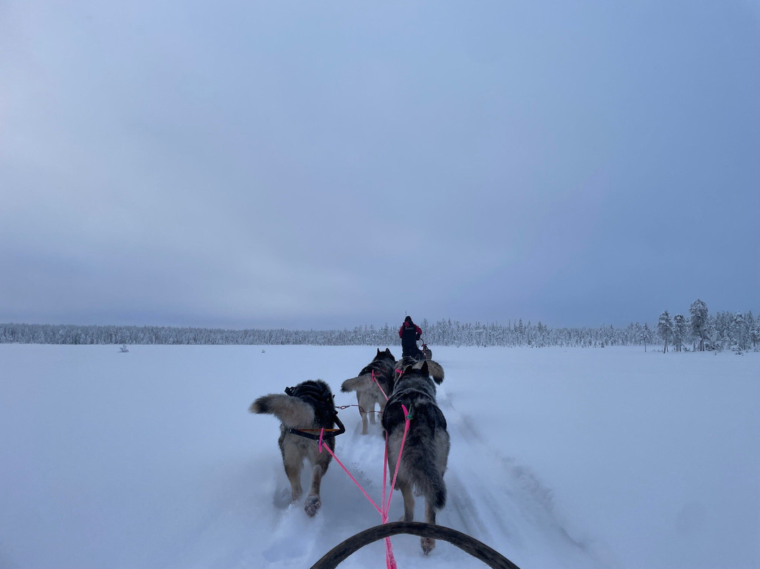 Oulanka Aventure Arctic-Salla必去景点