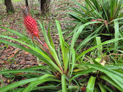 KIDAN TOUR OPERATOR-卓欧毕雪必去景点