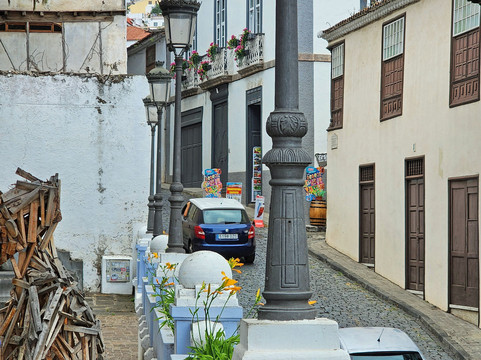 El Drago Milenario-伊科德洛斯维诺斯必去景点