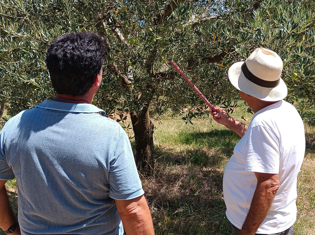 Olivo Pampa-Santana do Livramento必去景点
