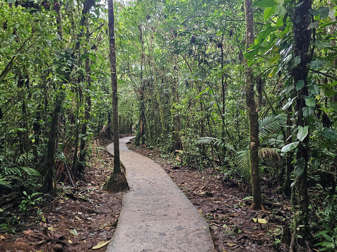 NexusTours-圣何塞必去景点