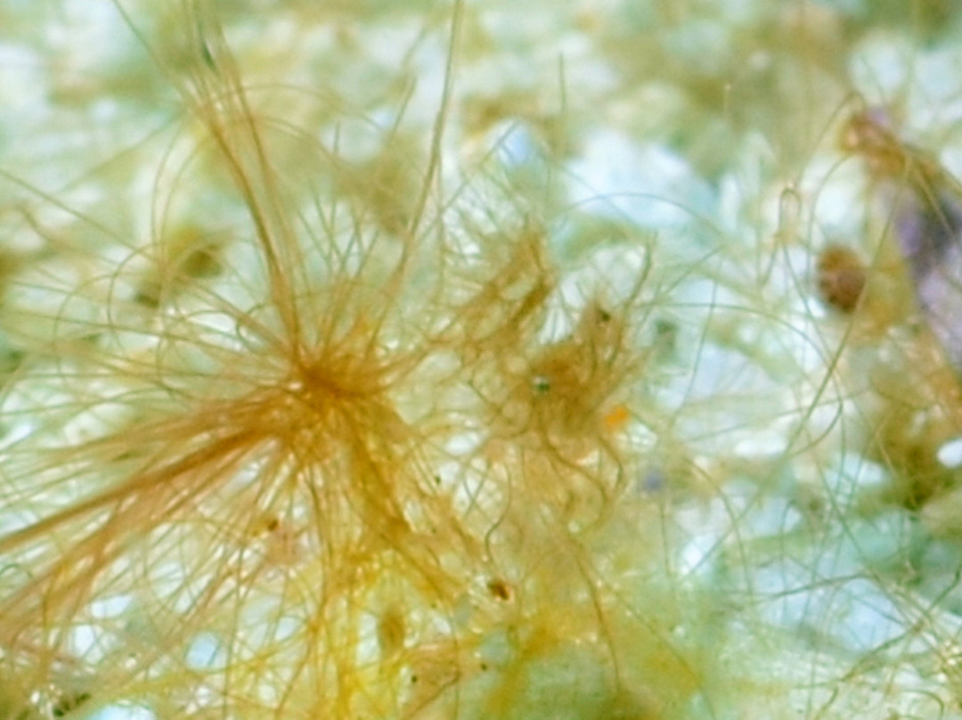 Maite Marine Sanctuary-圣胡安必去景点