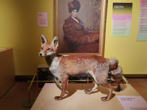 Derby Museum and Art Gallery-德比必去景点