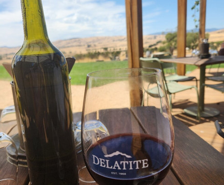 Delatite Wines-曼斯菲尔德必去景点