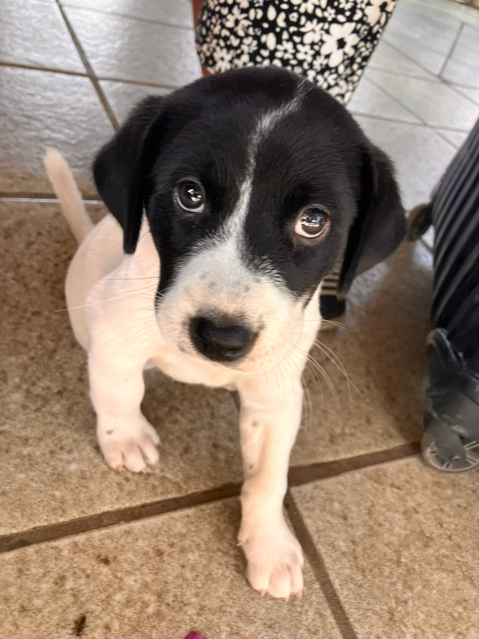 萨拉东恒酒店-官方