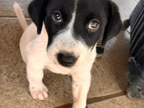 萨拉东恒酒店主图