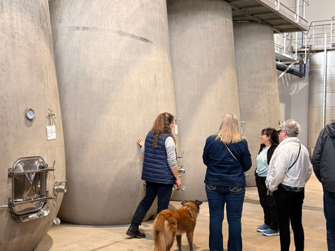 Vicentino Wines-Odemira必去景点