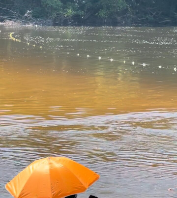 Balneário Rio Preto-Porto Velho必去景点