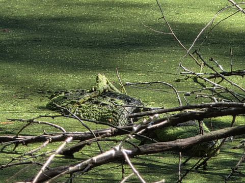 DANTA TOURS-Xpujil Town必去景点