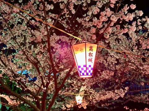 玉藻公园-高松市必去景点