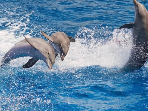 Nabq Tours Hurghada-赫尔格达必去景点