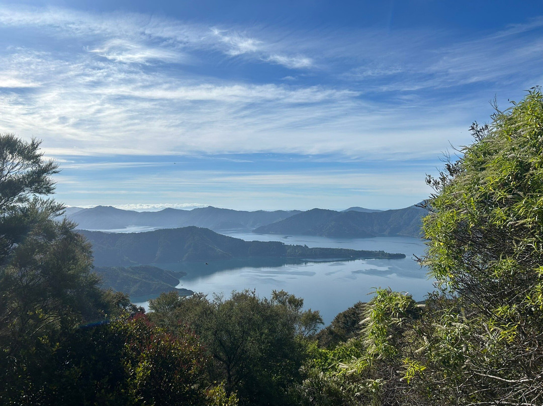Marlborough Sounds Adventure Company - Day Tours-皮克顿必去景点
