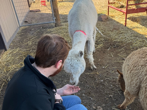 My She Was Yarn Alpacas