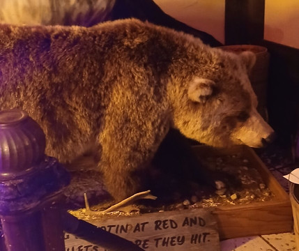 Boyett's Grove-布鲁克斯维尔必去景点