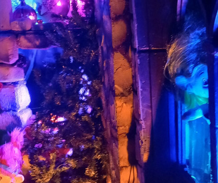 Boyett's Grove-布鲁克斯维尔必去景点