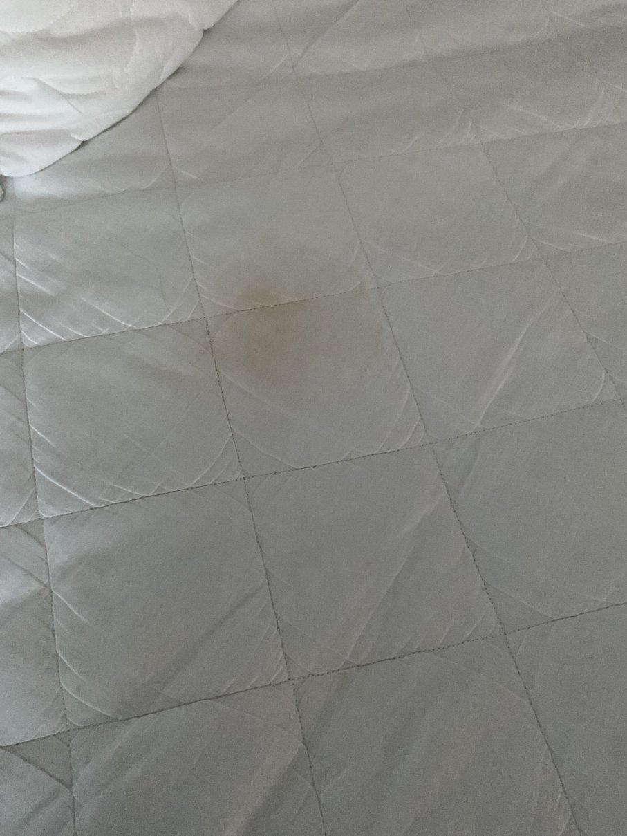 普瑞米尔皮克凌酒店-客卧