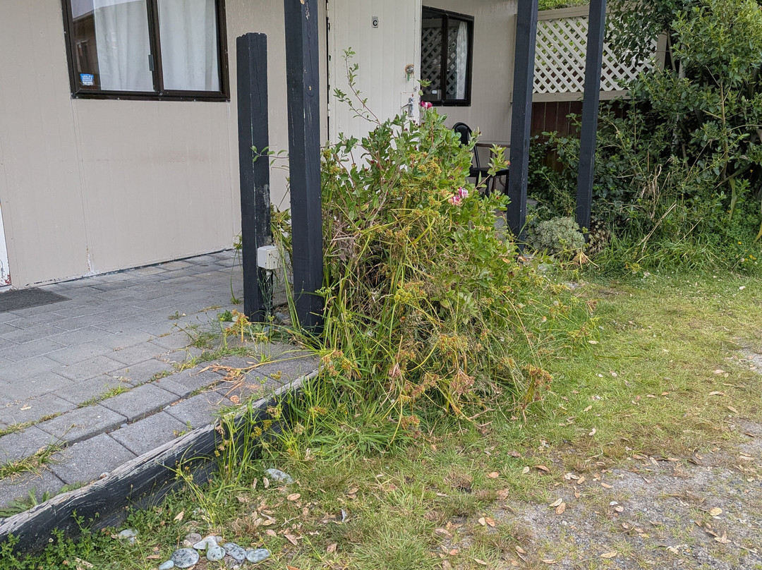 252海滨汽车旅馆和假日公园酒店主图