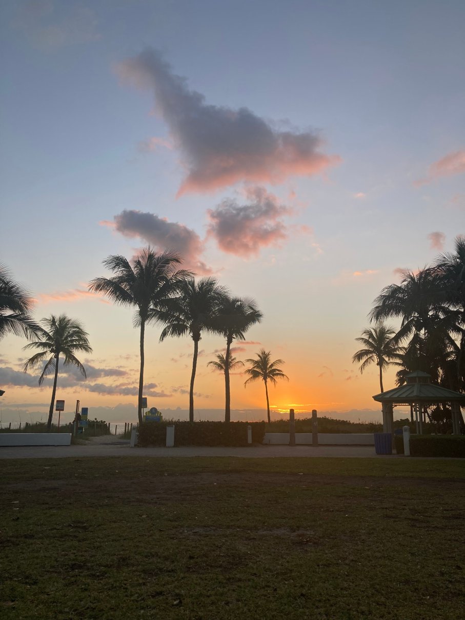 蓝色海洋庭院酒店-官方