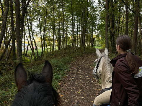 Darzini-Kekava必去景点