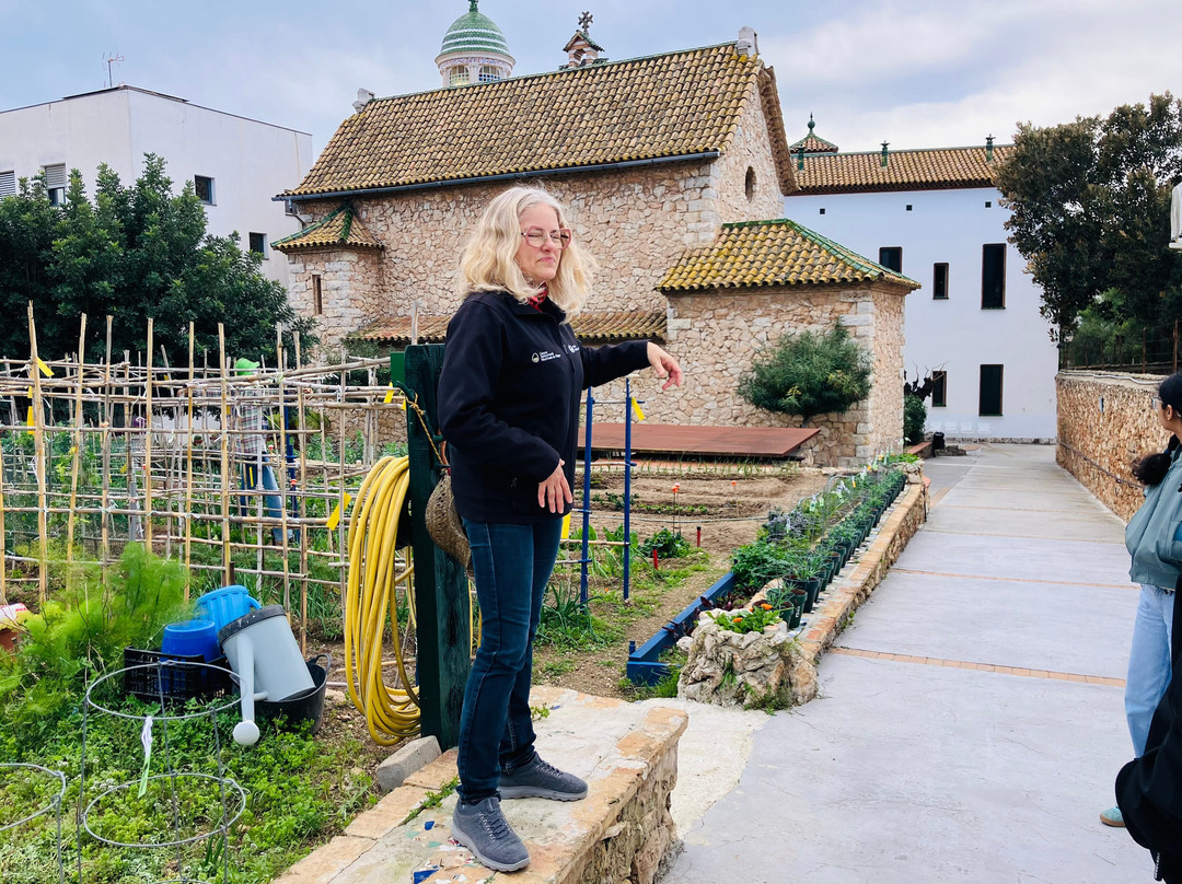 Centre d'Interpretacio De La Malvasia-锡切斯必去景点