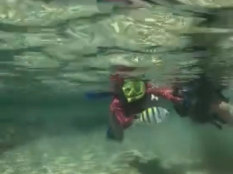 Mergulho Consciente-Taipus de Fora必去景点