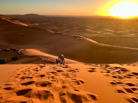 Marrakech Camel Trips-非斯必去景点
