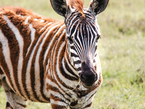 Great Escape Trails-莫西必去景点