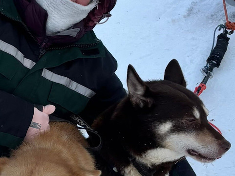 Hetta Huskies-Enontekiö必去景点