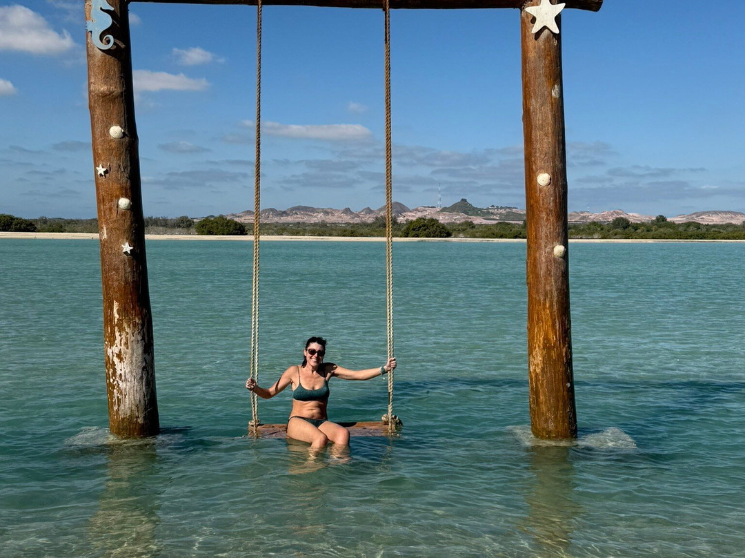 Sir Bani Yas Cruise Beach-萨巴尼亚岛必去景点