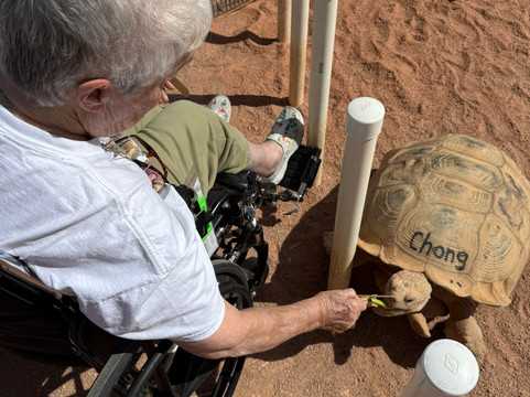 Rooster Cogburn Ostrich Ranch-Picacho必去景点