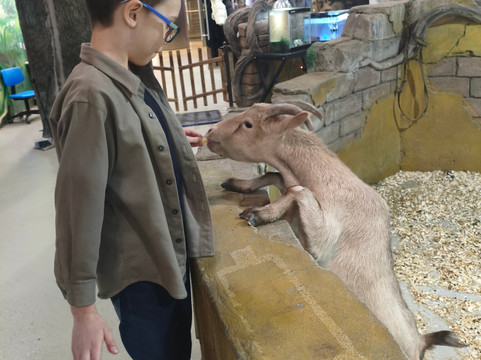 Touching Zoo Bely Kenguru-莫斯科必去景点