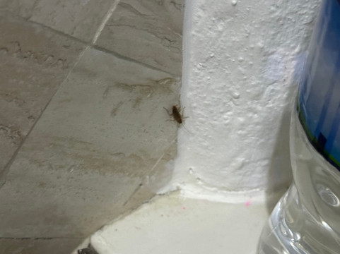 马萨特兰海滩全包式酒店主图