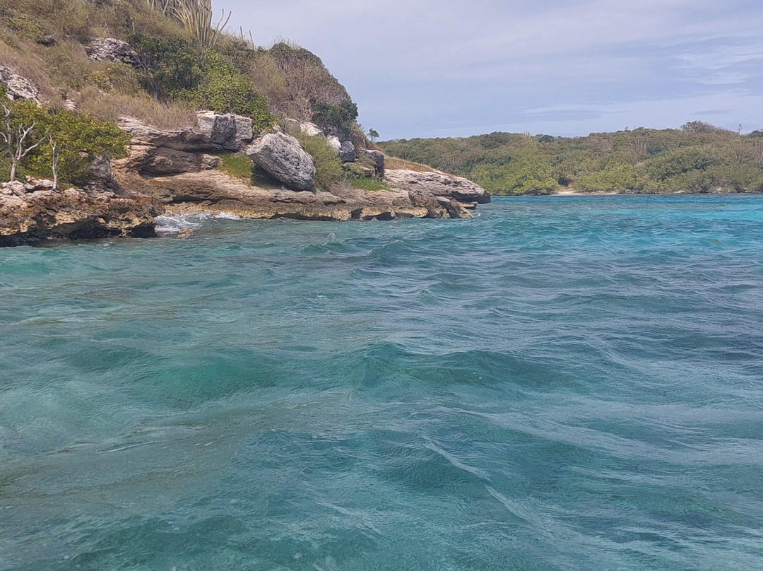 Antigua Nature Tours-圣 约翰必去景点
