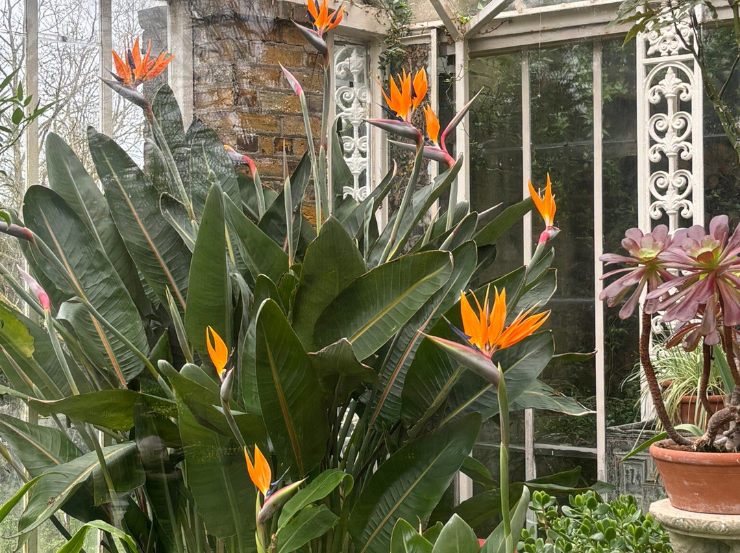 Myddelton House Gardens-恩菲尔德必去景点