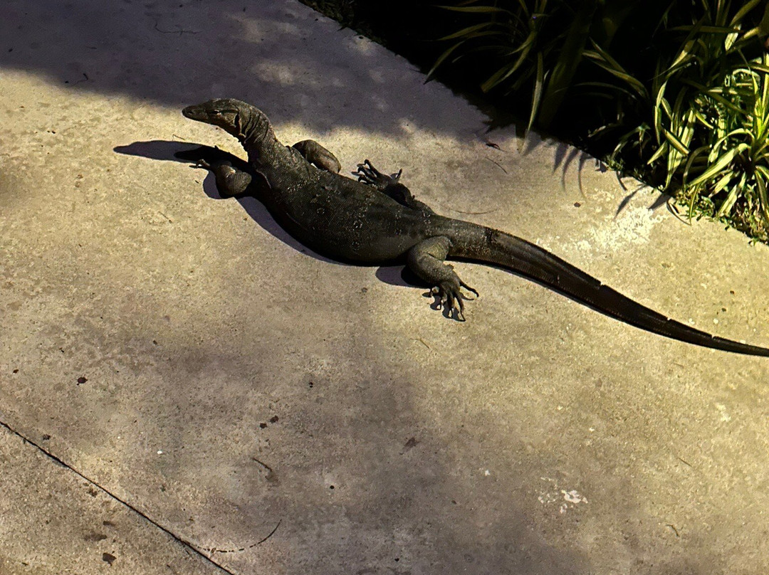 班泰兰塔度假别墅主图