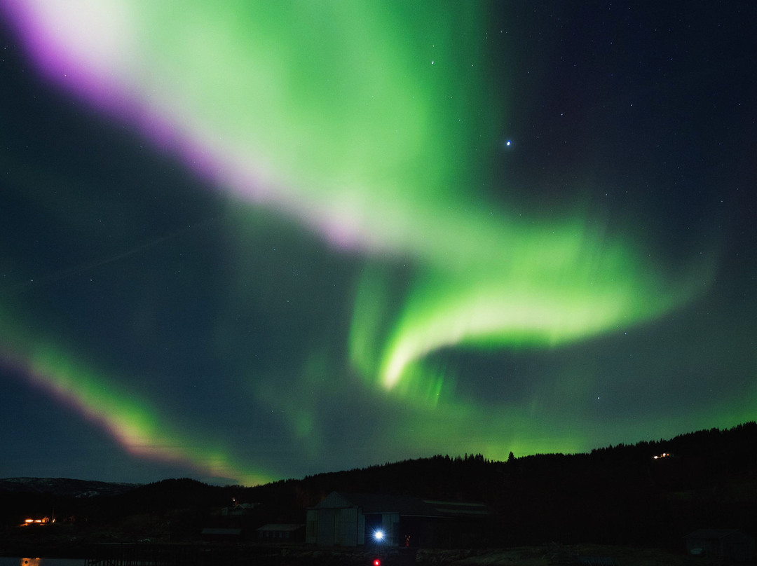 Kleksen Saunaboat-Bogen i Ofoten必去景点