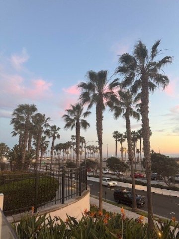 亨廷顿海滩凯悦酒店-泳池