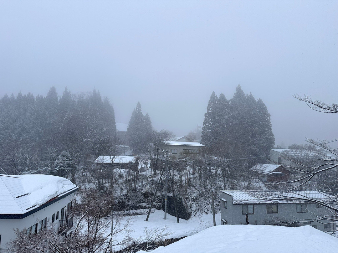 五感之汤鹤屋酒店主图