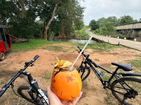 Kris Travels Lanka-康提必去景点