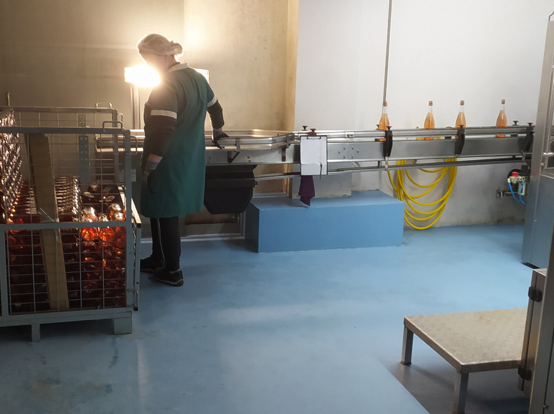 Caves Messias-梅阿利亚达必去景点