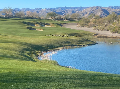 Coyote Springs Golf Course-Moapa必去景点