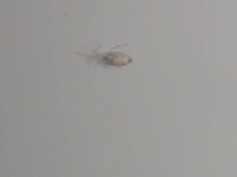 底特律地铁机场希尔顿花园客栈酒店主图